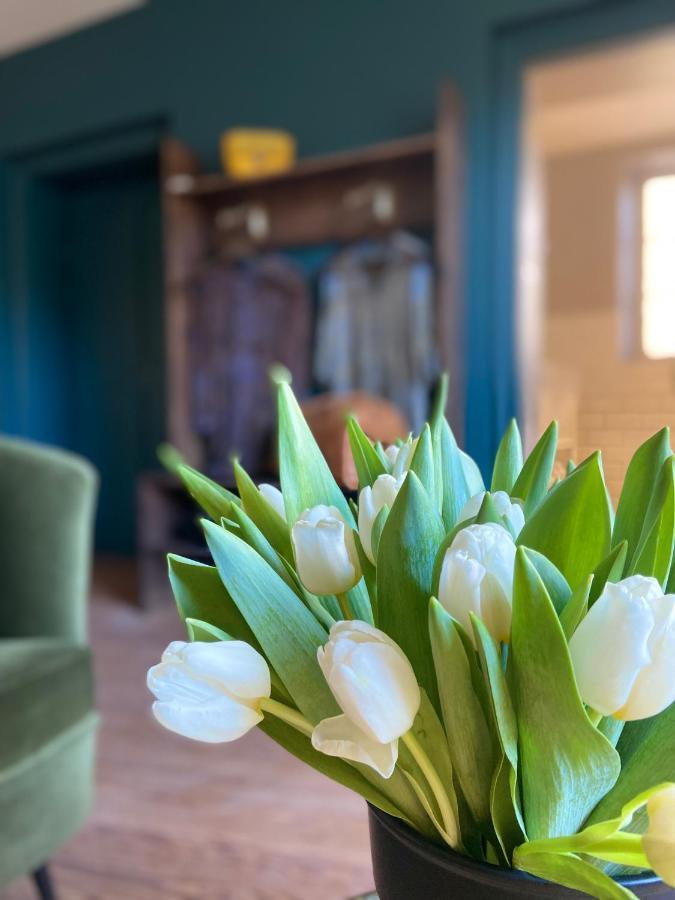 Bed and Breakfast La Tour Yveline Роман-сюр-Ізер Екстер'єр фото